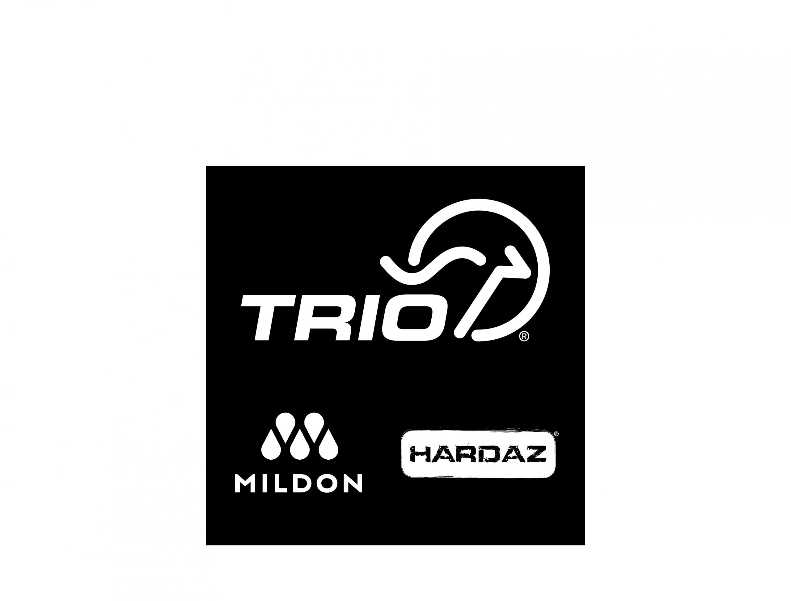 Trio Group